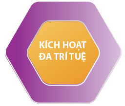Phát triển đa dạng các mặt trí tuệ